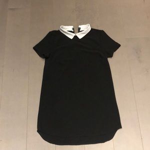 White collared zipper back mini dress